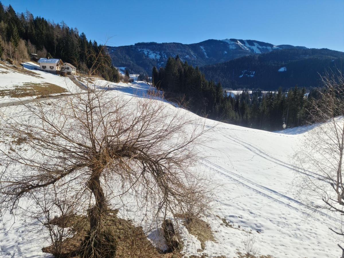 Schoene Ferienwohnung Im Naturpark Grebenzen Sankt Lambrecht Exterior photo