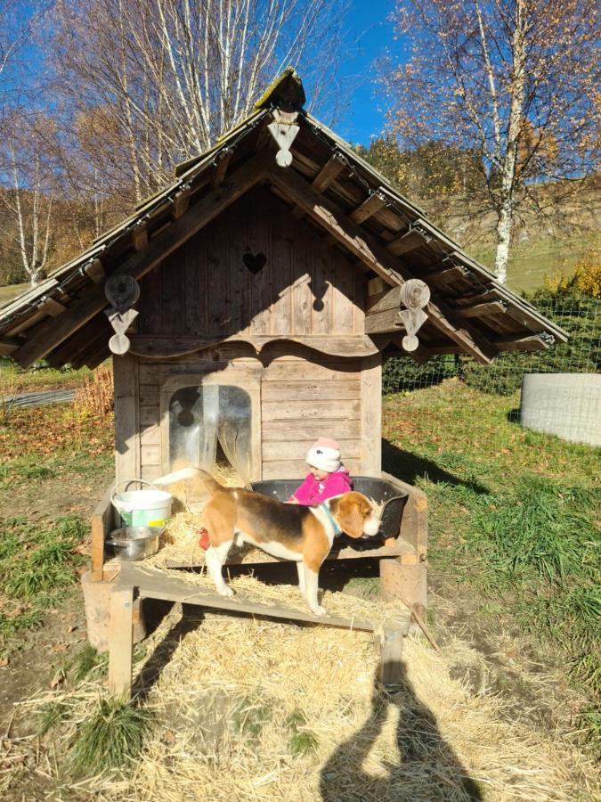 Schoene Ferienwohnung Im Naturpark Grebenzen Sankt Lambrecht Exterior photo