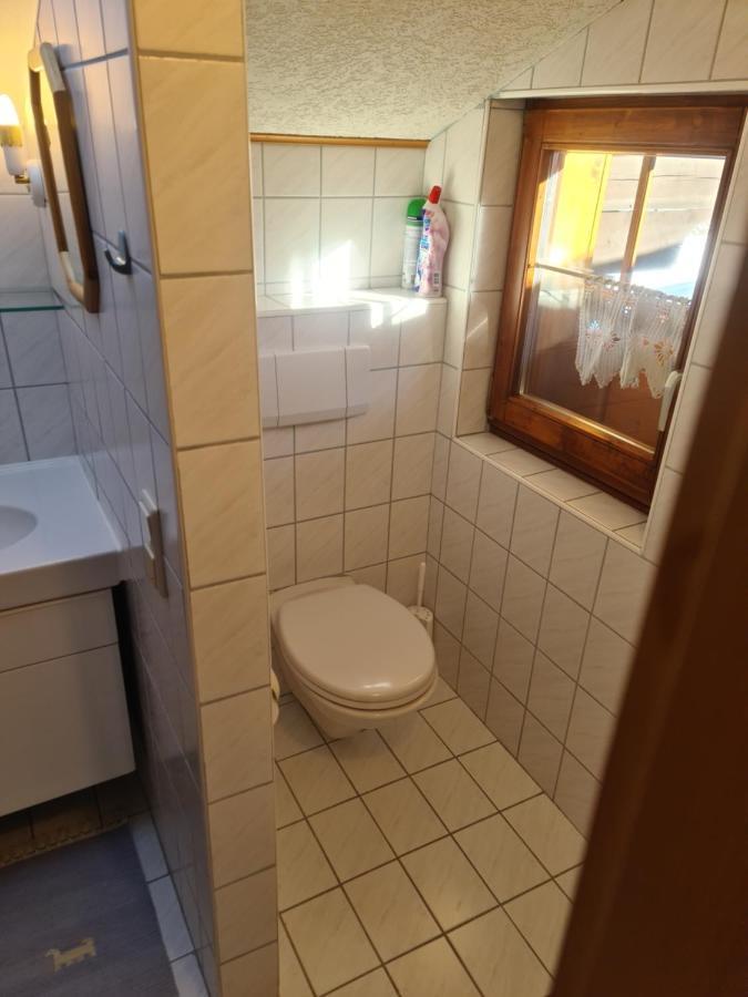 Schoene Ferienwohnung Im Naturpark Grebenzen Sankt Lambrecht Exterior photo